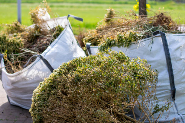 Best Local Junk Hauling  in Valdez, AK